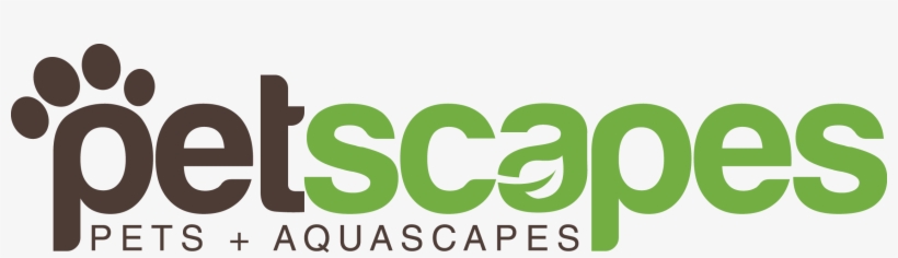 Baking Soda 200g - Graphic Design, transparent png #8935659