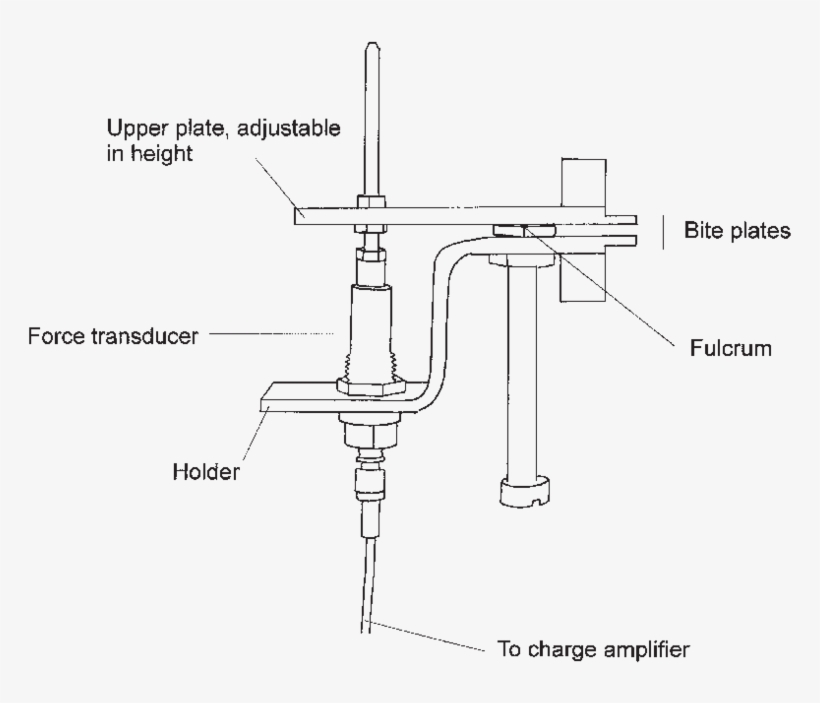 Experimental Setup Used To Register Bite Forces In - Diagram, transparent png #8938855