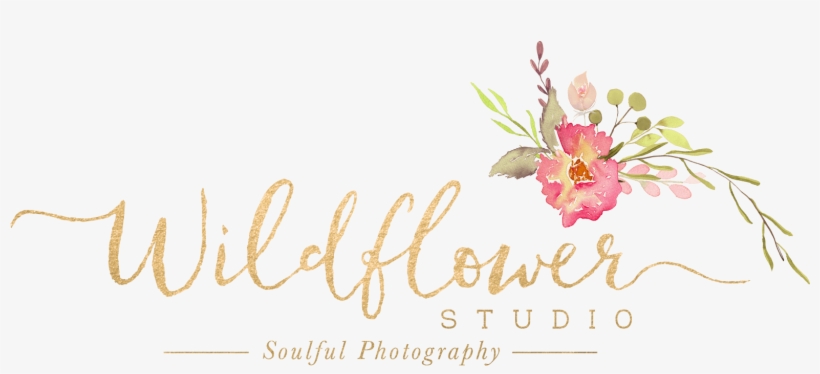 Calligraphy, transparent png #8939152