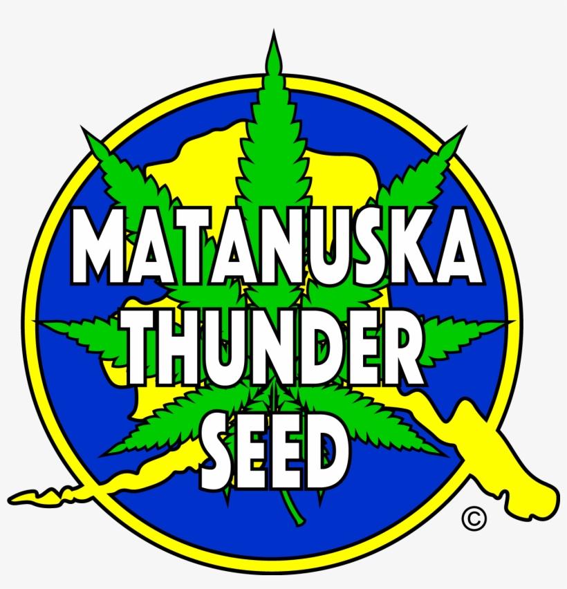 Matanuska Thunder Seed Logo - Emblem, transparent png #8939183