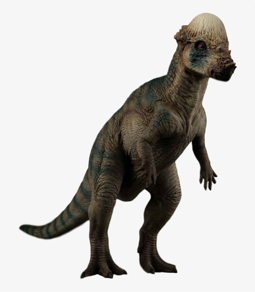 Pachycephalosaurus - Skyrim Dog Png, transparent png #8940345