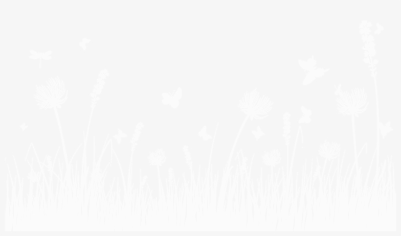 Pole - Wildflower, transparent png #8941392