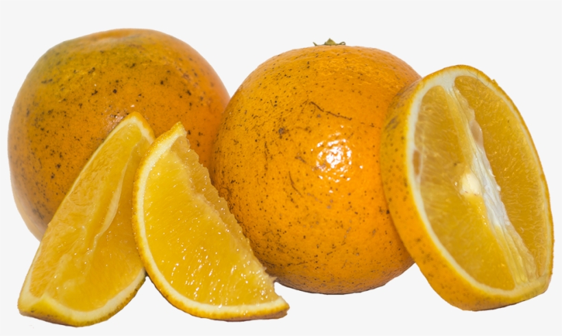 There Is Only One Ingredient In The Owl & Goose Orange - Rangpur, transparent png #8943141