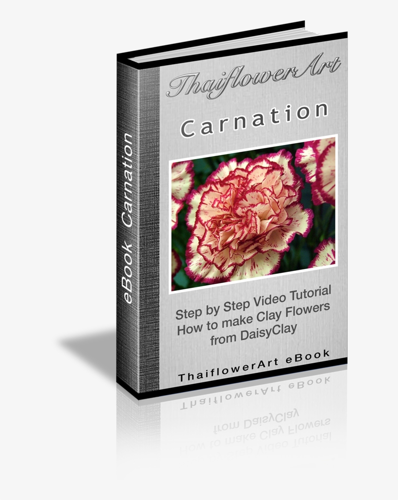 Japanese Camellia, transparent png #8944677