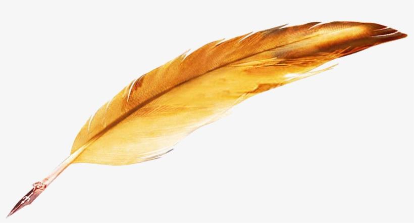 Quill Png - 鹅毛 笔, transparent png #8945240