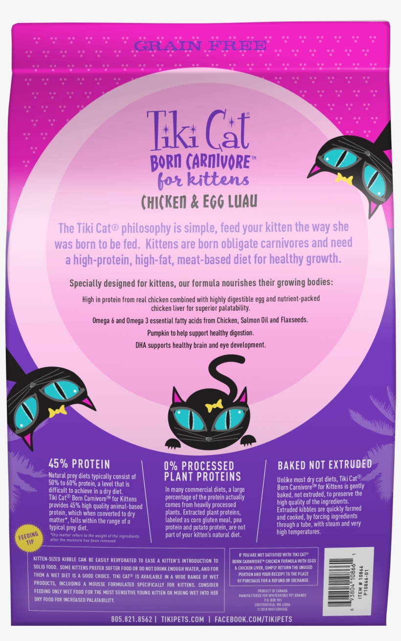 Previous - Next - African Grey, transparent png #8945244