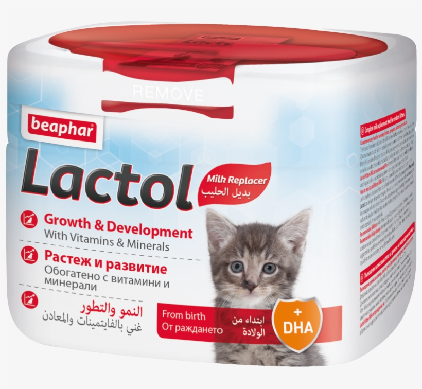 Beaphar, transparent png #8945397