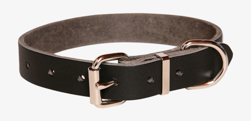 Taurus Plain Leather Heavy Duty Dog Collar 25mmx485mm - Buckle, transparent png #8945449