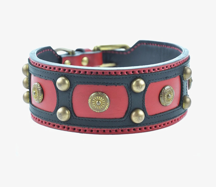 Dog Collar Transparent Background Png - Dog Collar Transparent Background, transparent png #8945526