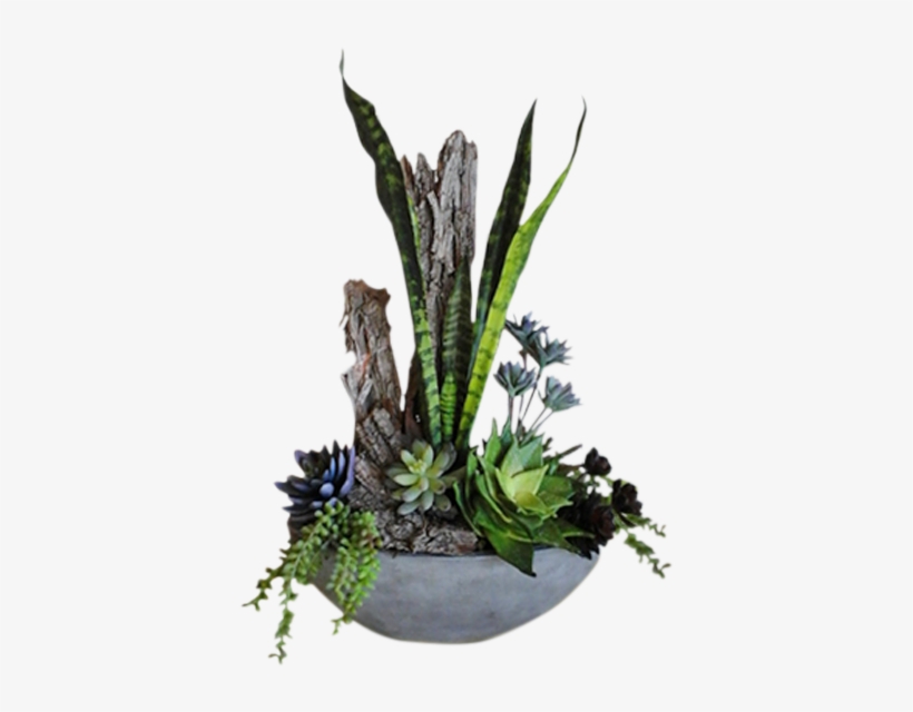 Forever Succulents - Ikebana, transparent png #8945620
