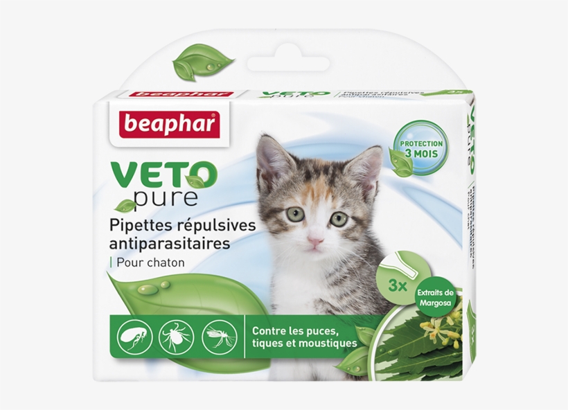 Best Pet Groomer Around East Coast - Beaphar Veto Mačky Prírodný, transparent png #8945624