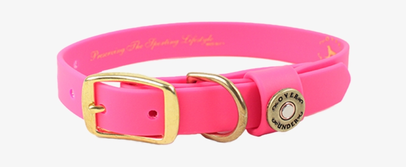 Water Dog Collar Pink - Buckle, transparent png #8945657