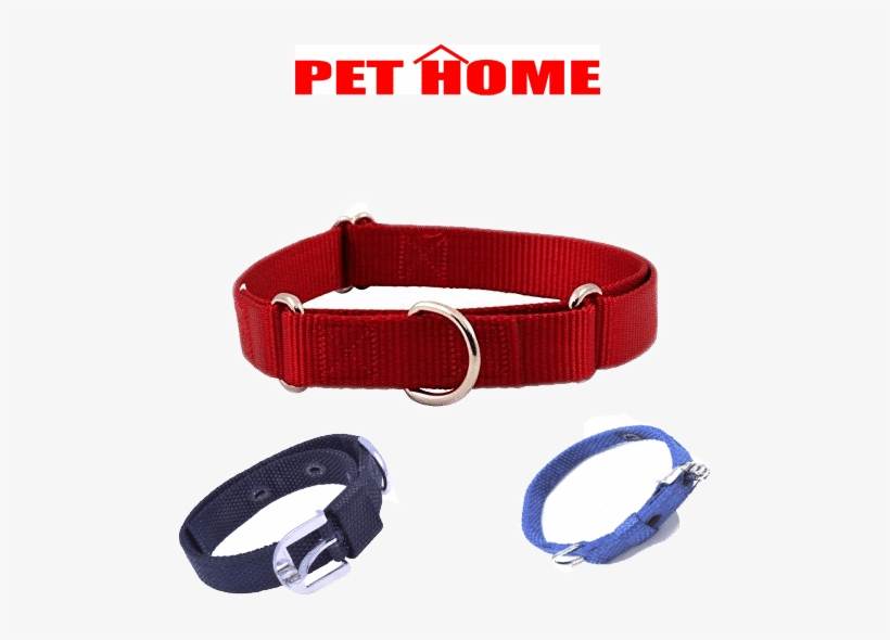 Classic - Belt, transparent png #8945691