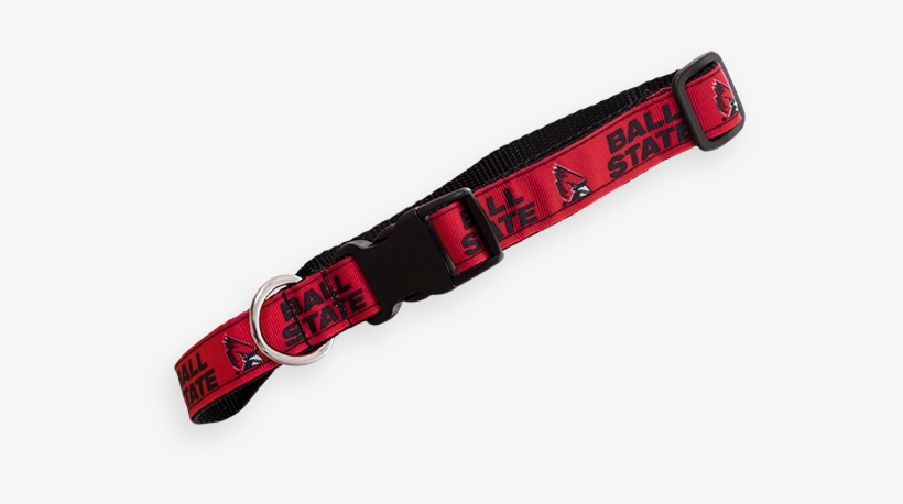 Cover Image For Dog Collar, Medium - Strap, transparent png #8945730