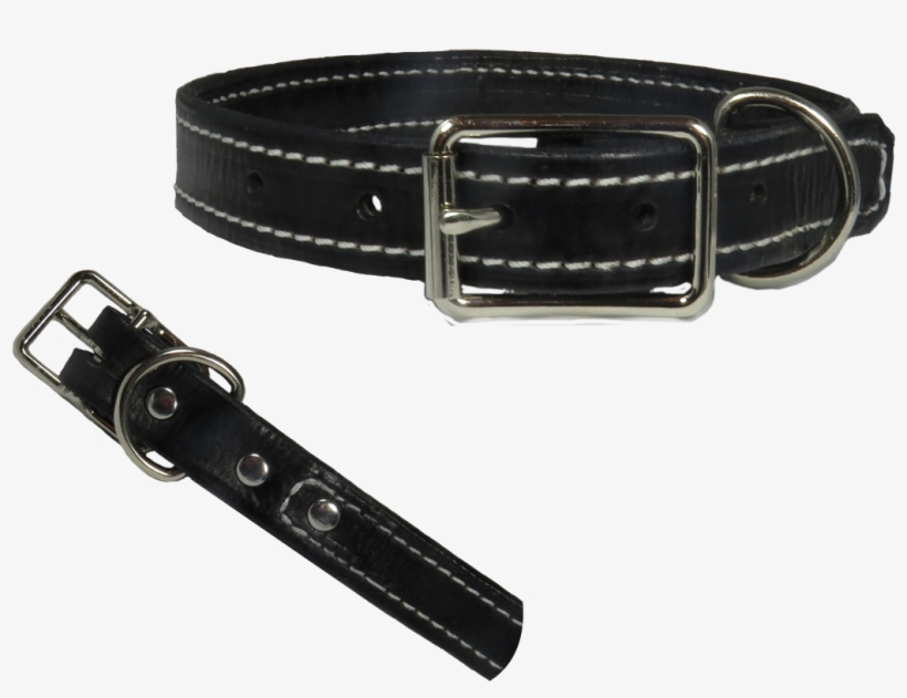 1 Inch Black White Collar Stiching - Buckle, transparent png #8945831