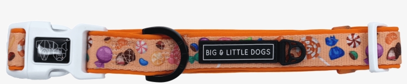 Collar Sizing - Belt, transparent png #8946174