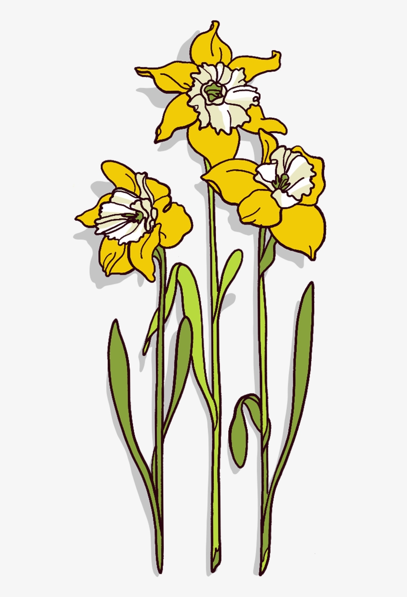 This Was Enough To Prompt Further Study, And In 1958, - Iris, transparent png #8946271
