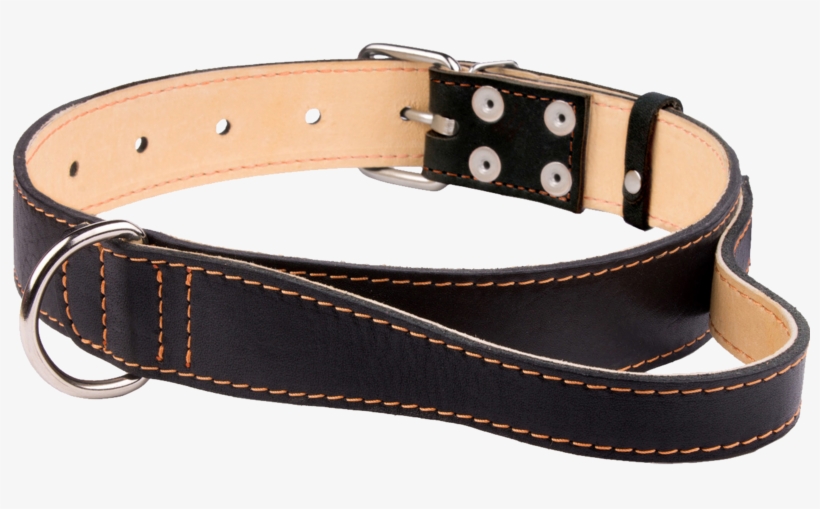 Dog Collar Png, Download Png Image With Transparent - Strap, transparent png #8946348