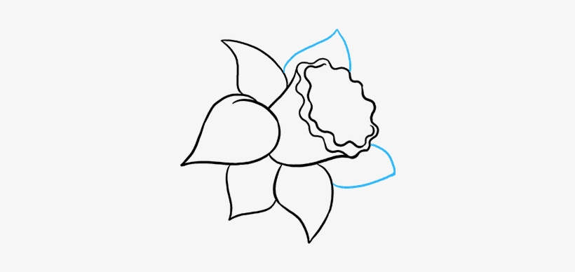 How To Draw Daffodil - Easy To Draw Daffodil, transparent png #8946837