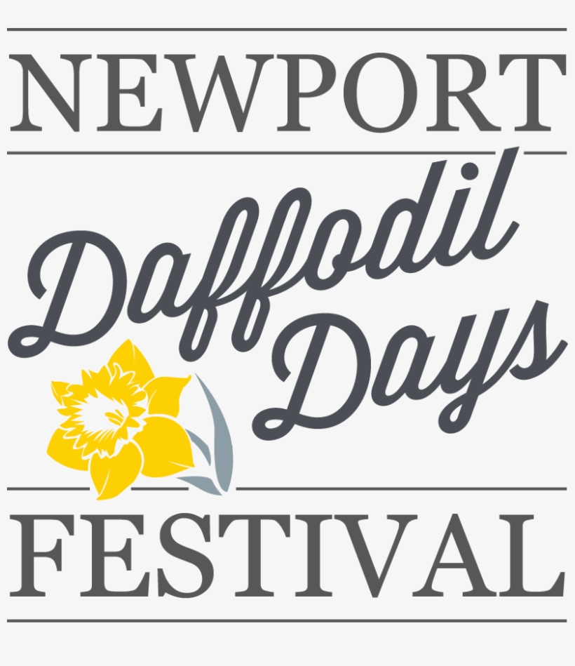 Newport Daffodil Days Festival Logo Black - Calligraphy, transparent png #8946928