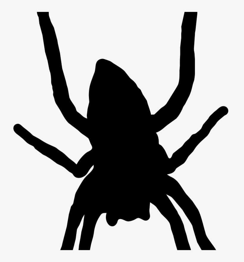 Free Spider - Spider Web Silhouette Clip Art, transparent png #8947147