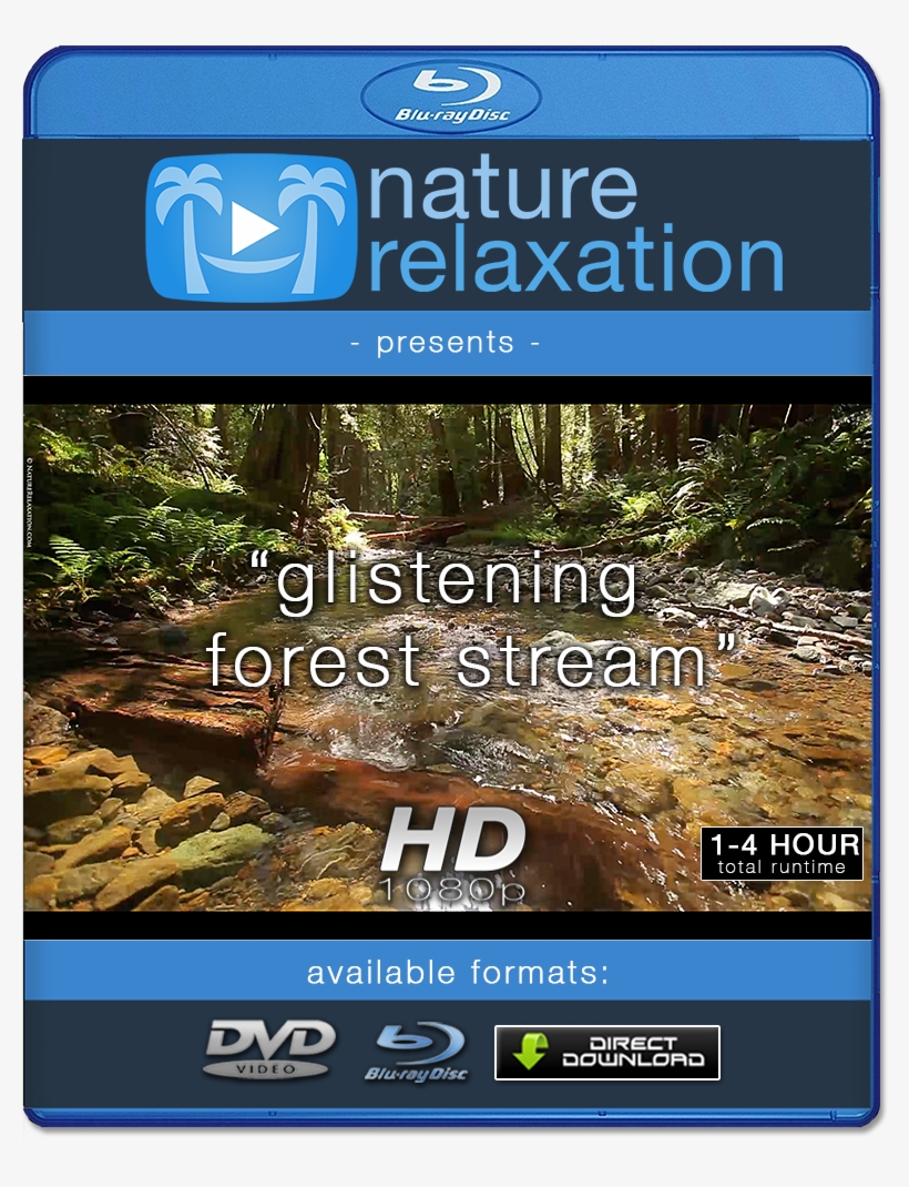 "glistening Forest Stream" Looping Nature Relaxation - Blu-ray Disc, transparent png #8947302