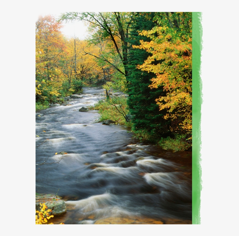 Our Water Is Pristine And Bottled For Drinking - Autumn, transparent png #8947384