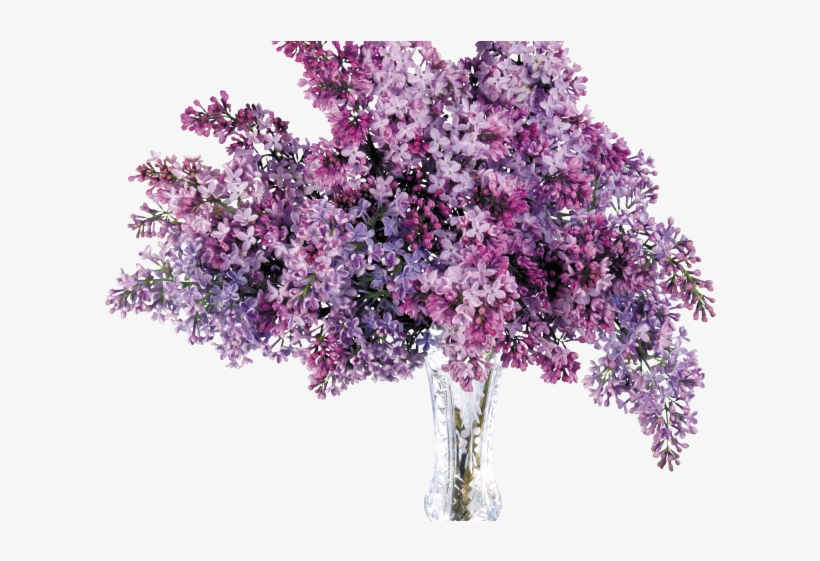Hydrangea Clipart Plant Png - Flower Vase Transparency Png, transparent png #8948382