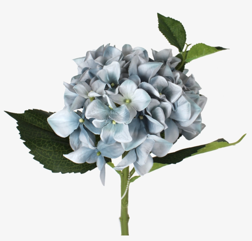 Blue Hydrangea Stem - Bouquet, transparent png #8948518