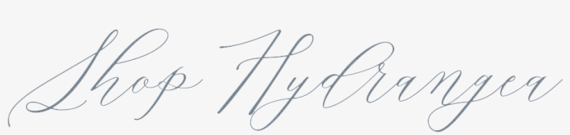 Shop Hydrangea Image - Calligraphy, transparent png #8948784