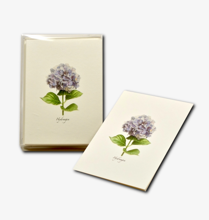 Shopping Cart -  - , transparent png #8949119