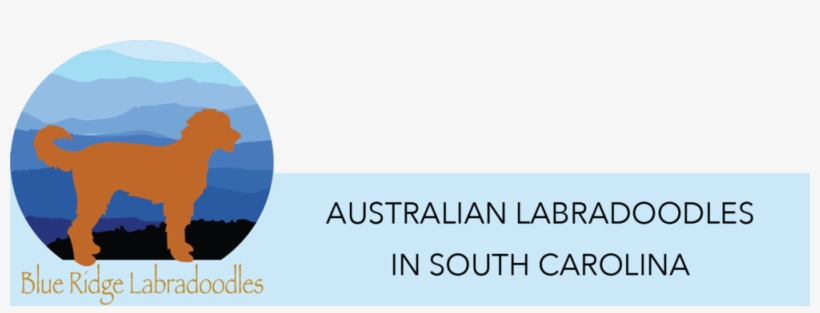 Brl Header3 - Graphic Design, transparent png #8949625