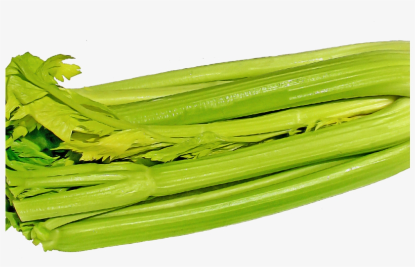 Green Celery Png Image - Chard, transparent png #8950272