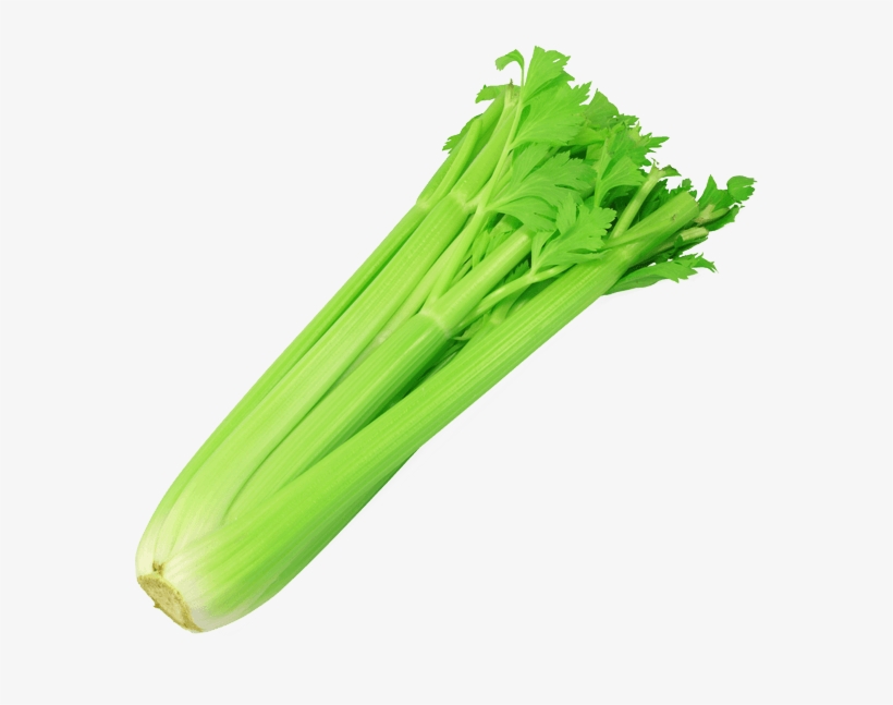 Celery Stalk 1 Pk - Transparent Image Of Celery, transparent png #8950349