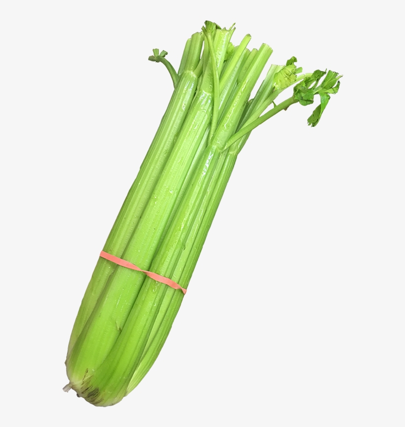 Celery - Leek, transparent png #8950602