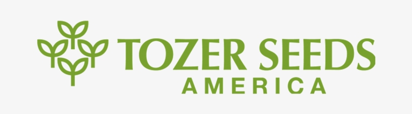 Tozer Seeds Releases Celery Varieties - Tozer Seeds, transparent png #8950779