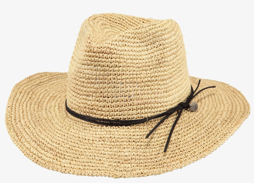 Celery Hat - Hat, transparent png #8950948