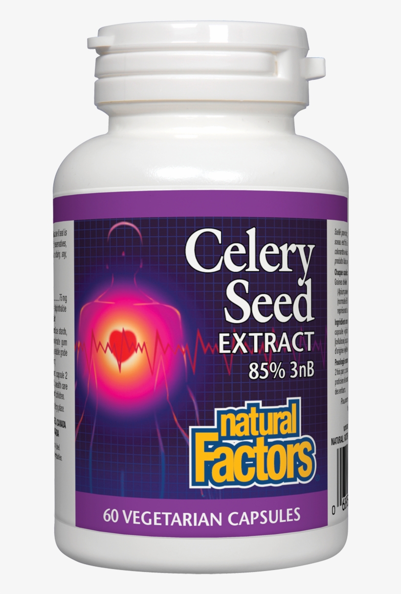 Animal, transparent png #8951265