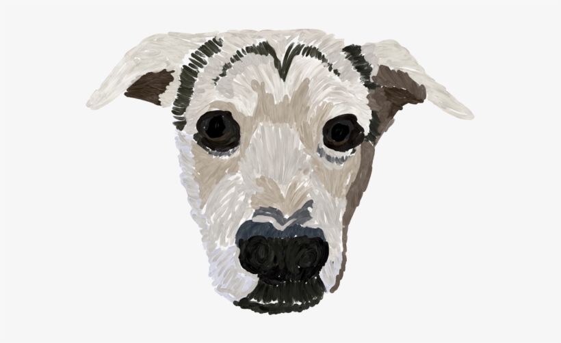 Crosby Drawing - Whippet, transparent png #8952462