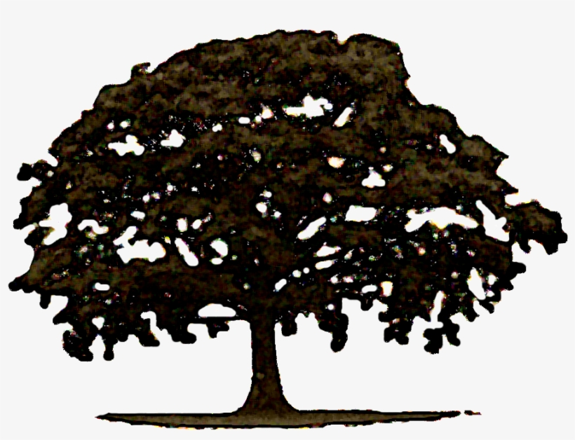 Down Victory Road - Tree, transparent png #8952623