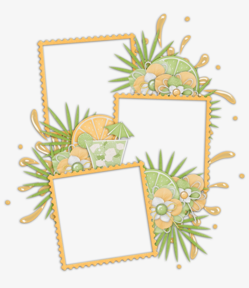 Picture Frame, transparent png #8953076