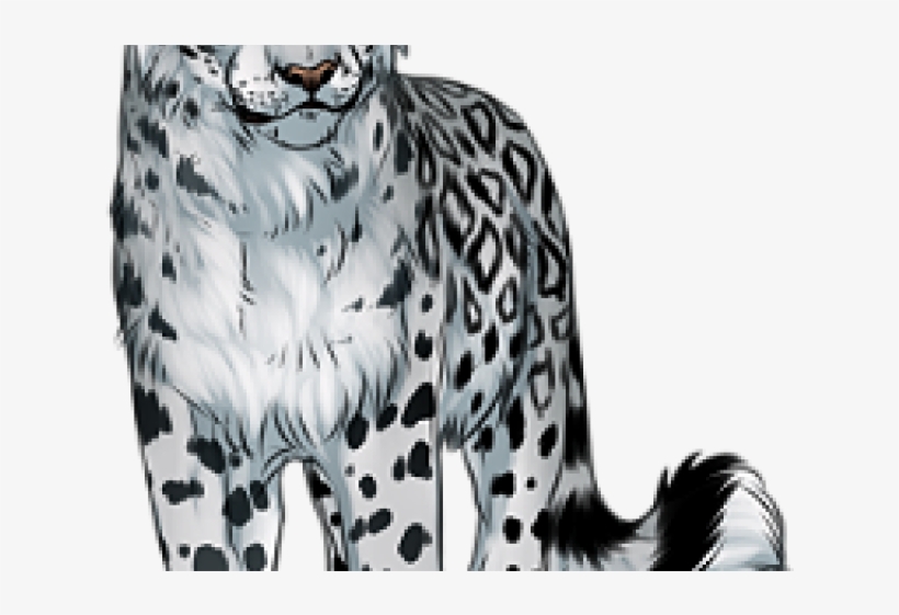 Drawn Snow Leopard Gif Transparent - Snow Leopard Transparent Background, transparent png #8953613