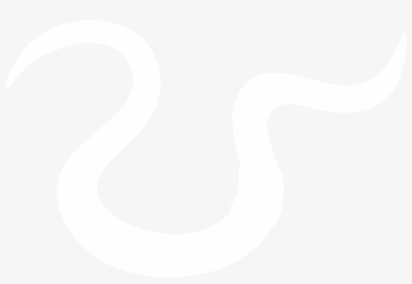 Snake, transparent png #8953701