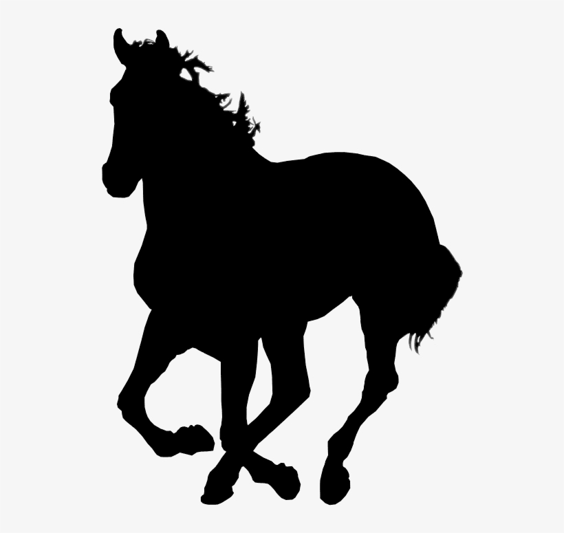 Horse Silhouette - Colt Horse Png, transparent png #8954211