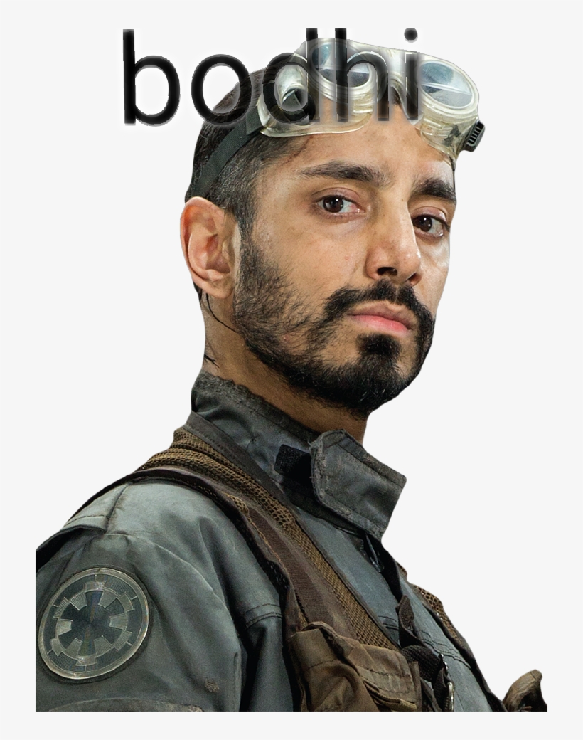 Zlipziujczau - Star Wars Rogue One Bodhi Rook, transparent png #8954383