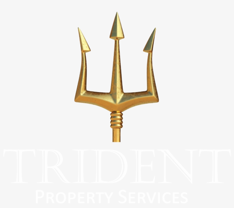 Emblem, transparent png #8955629