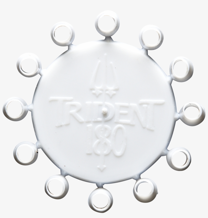 White - Circle, transparent png #8955665