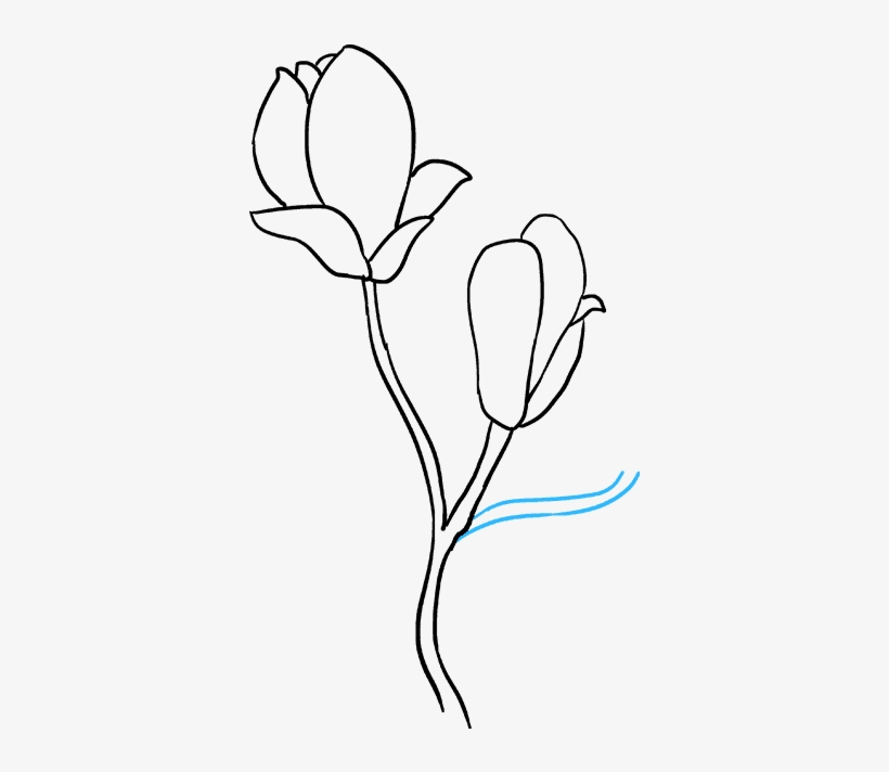 How To Draw Flowers Really Easy Tutorial - Drawing Step By Step Magnolia Flower, transparent png #8955704