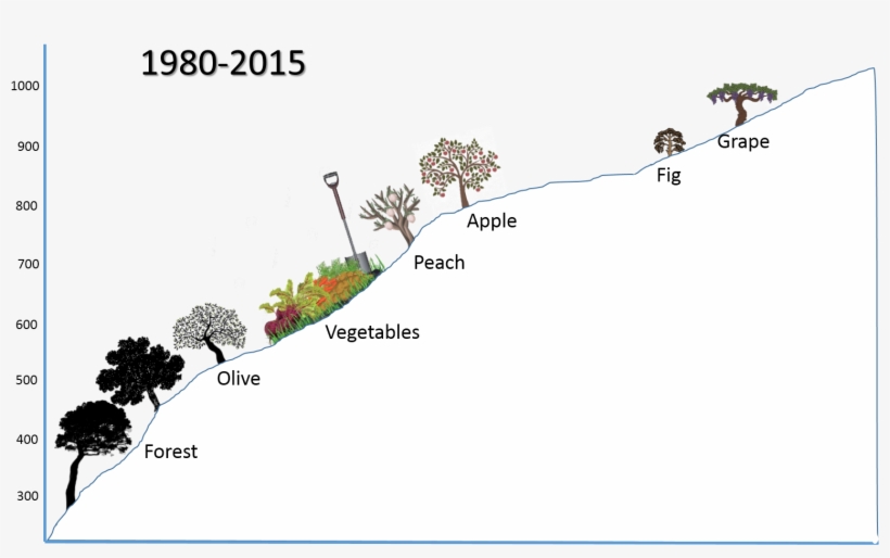 Current Agriculture In The Village Of Abadiyeh - Night, transparent png #8956275