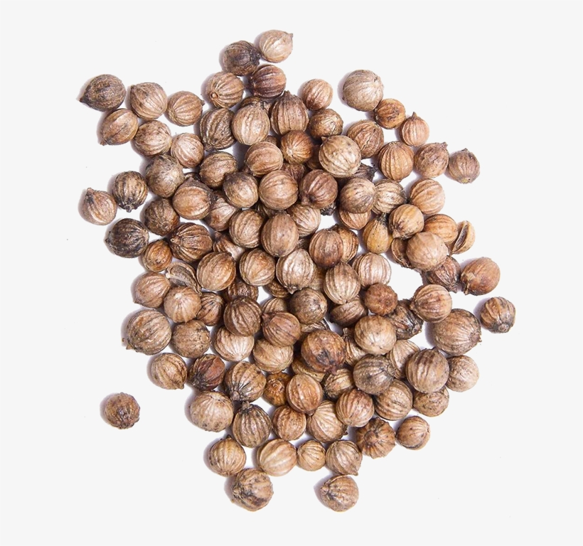 White Coriander Seed - Transparent Coriander Seeds Png - Free